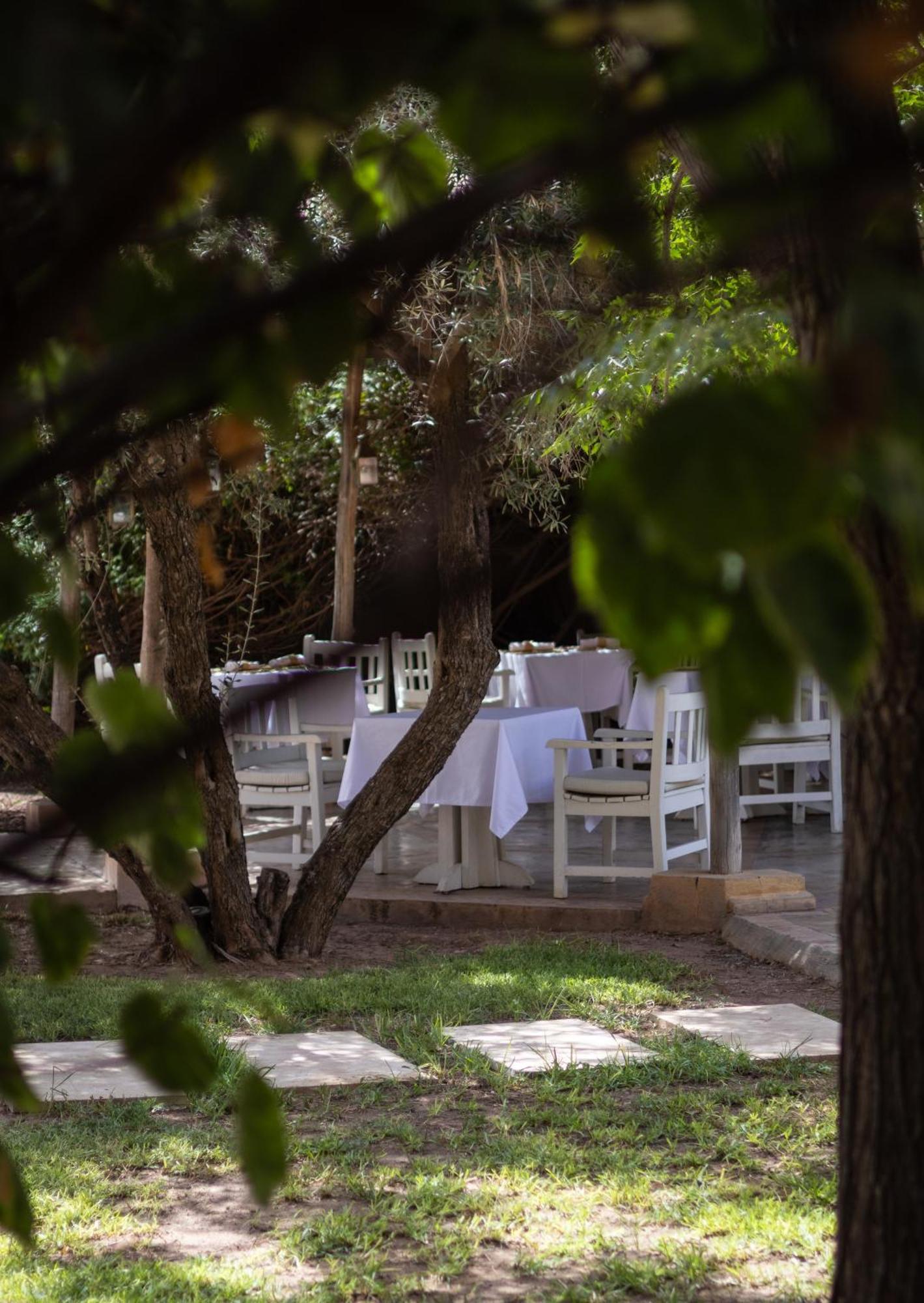 Al Assala Palmeraie Villa
